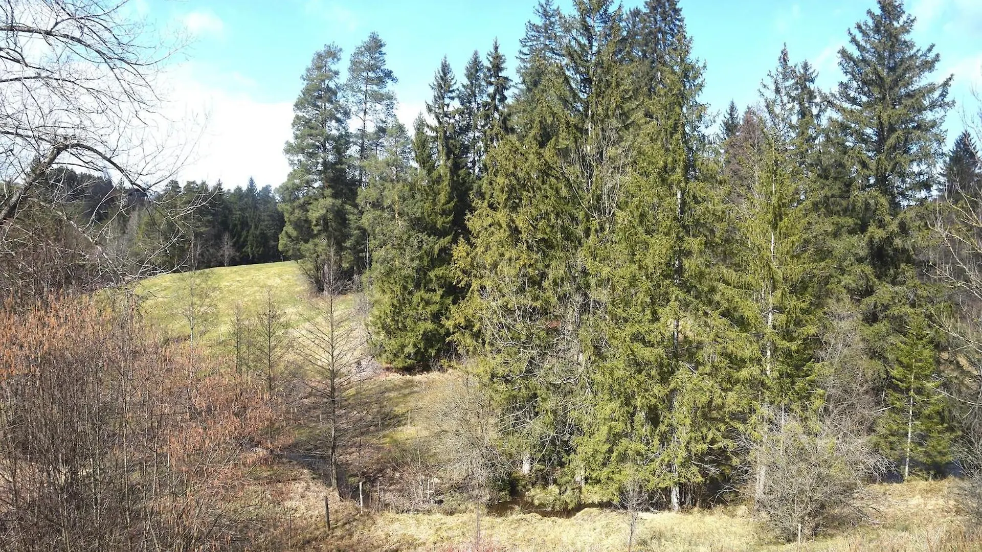 Holiday Home Reichenbach Nesselwang